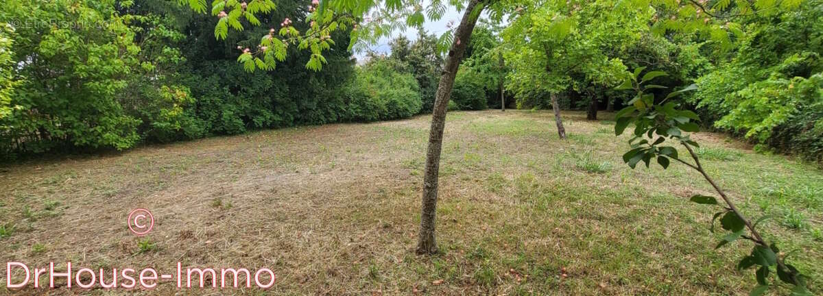 Terrain à MARTIGNE-BRIAND