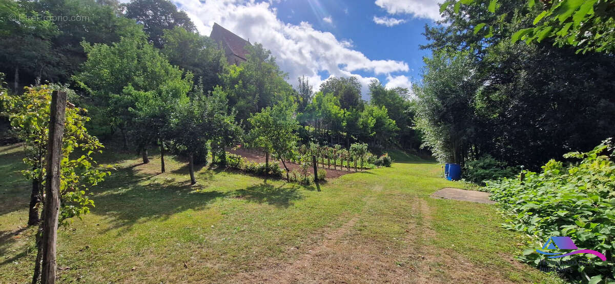 Jardin - Maison à CHATEAUMEILLANT