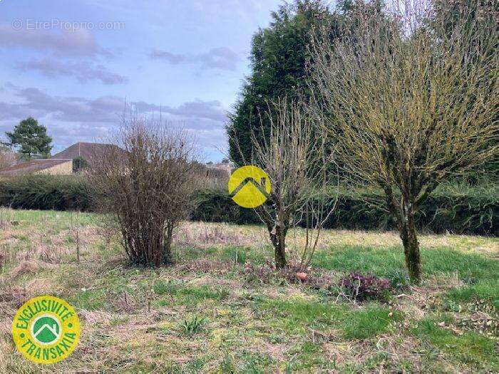 Maison à LES AIX-D&#039;ANGILLON