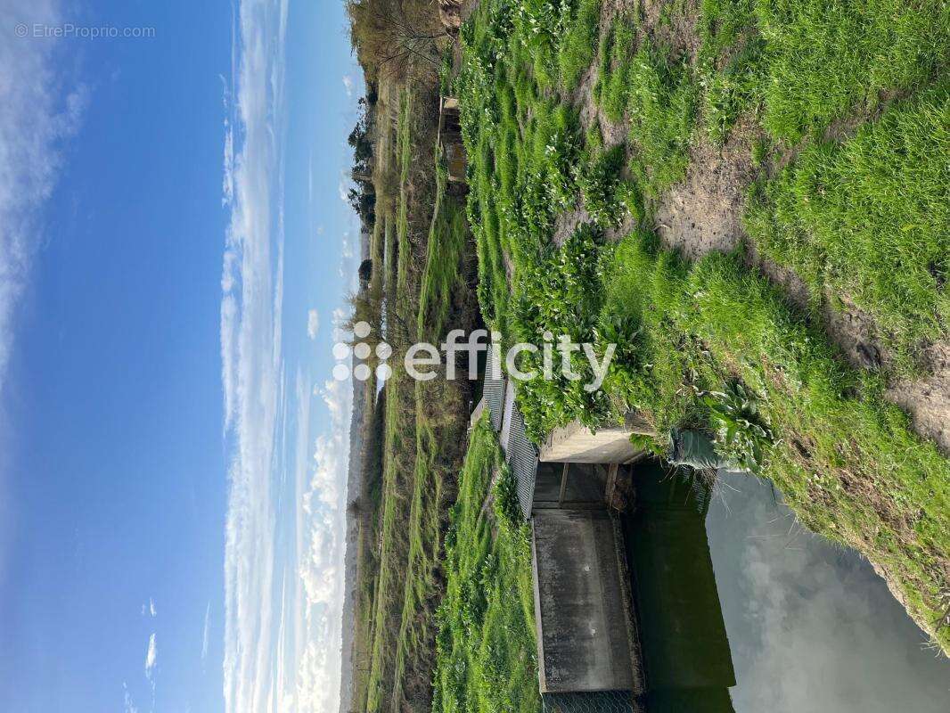 Terrain à L&#039;ILE-D&#039;OLONNE