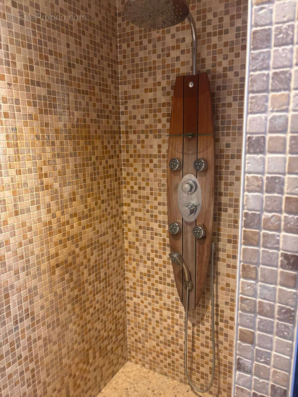 Maison à LA ROCHE-POSAY