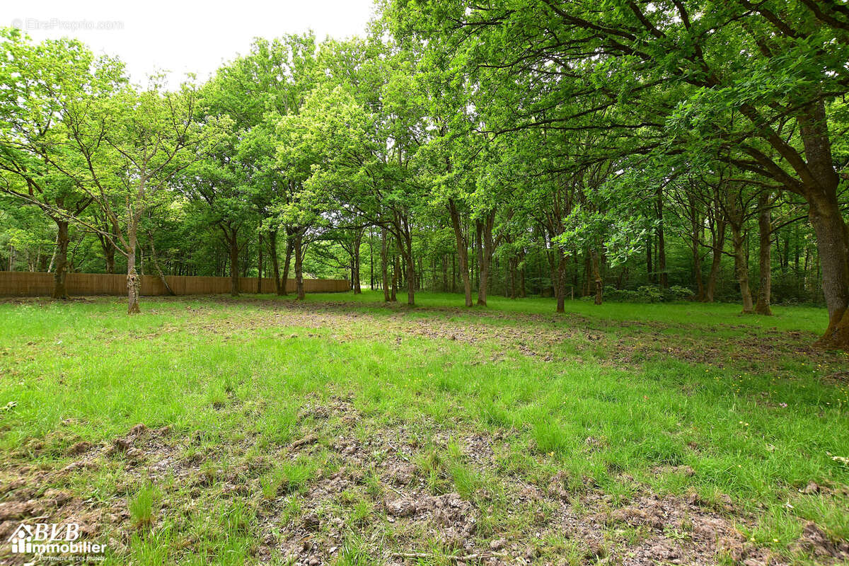 Terrain à GROSROUVRE