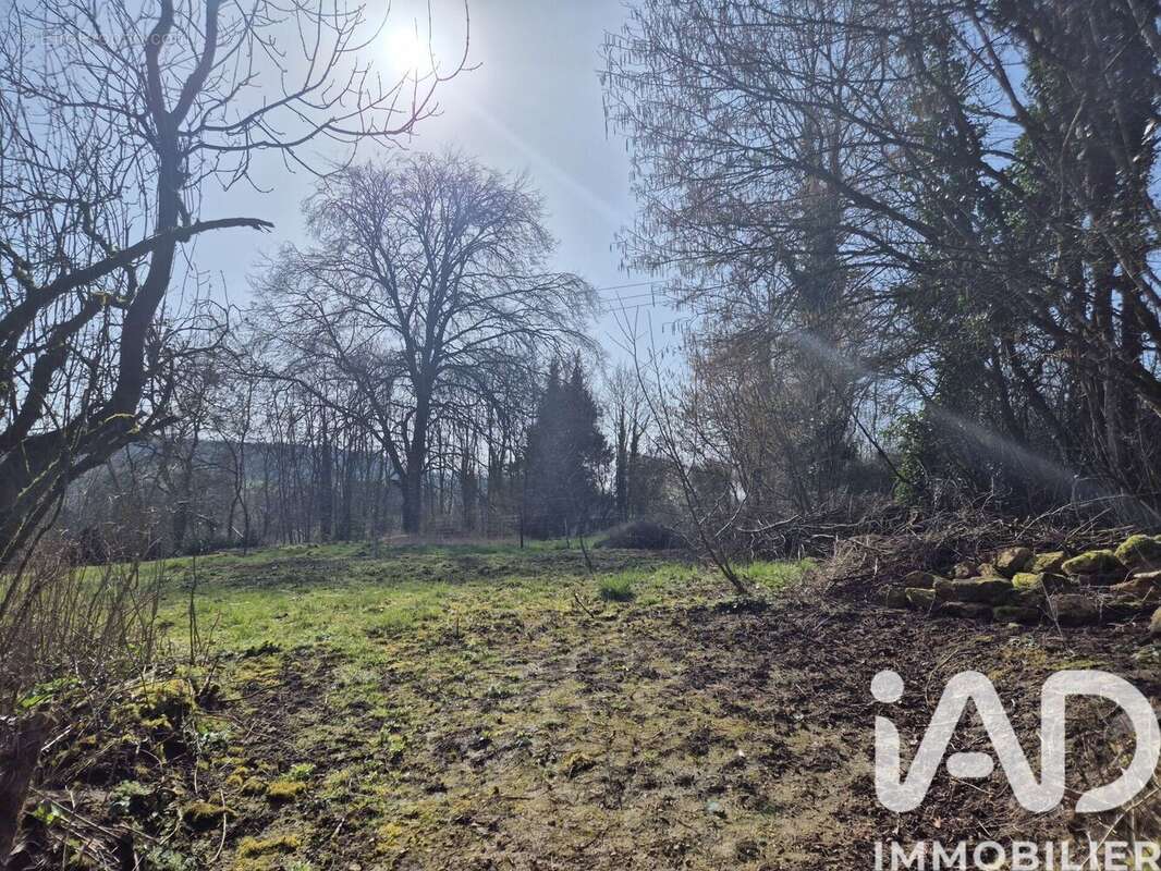 Photo 6 - Terrain à RAUCOURT-ET-FLABA