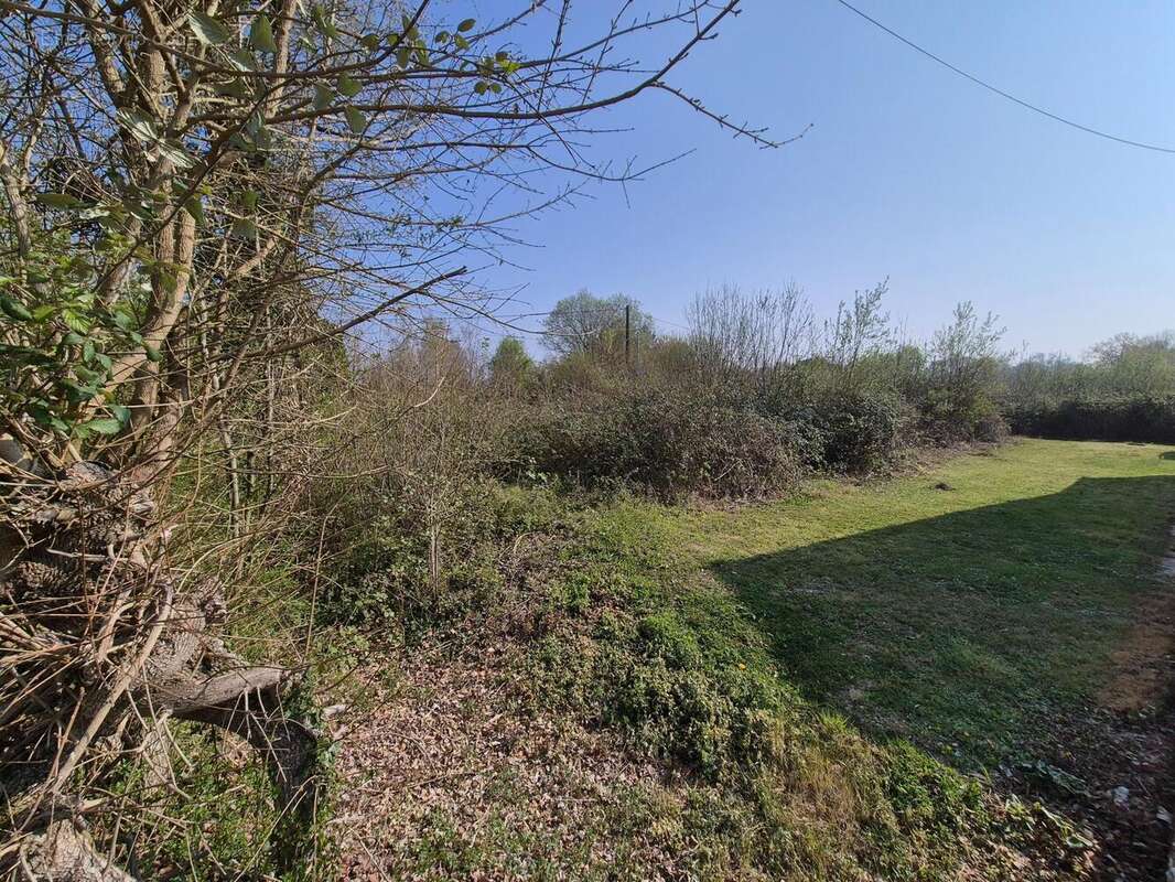 Photo 2 - Terrain à CELLETTES