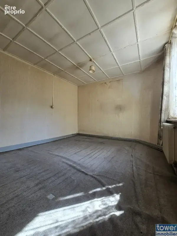 Maison avec jardin - photo 10