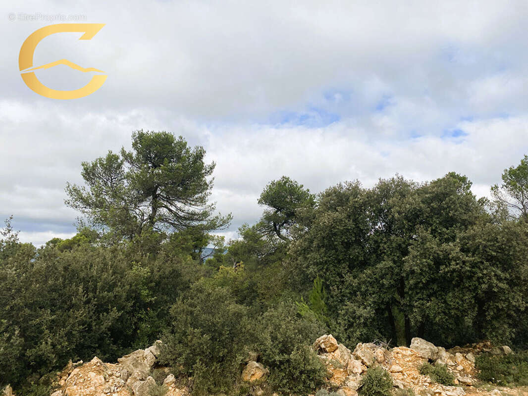 Vente terrain de loisir JOUQUES - photo 3