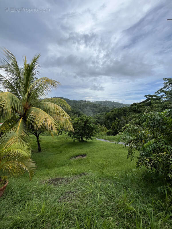 Terrain à RIVIERE-PILOTE