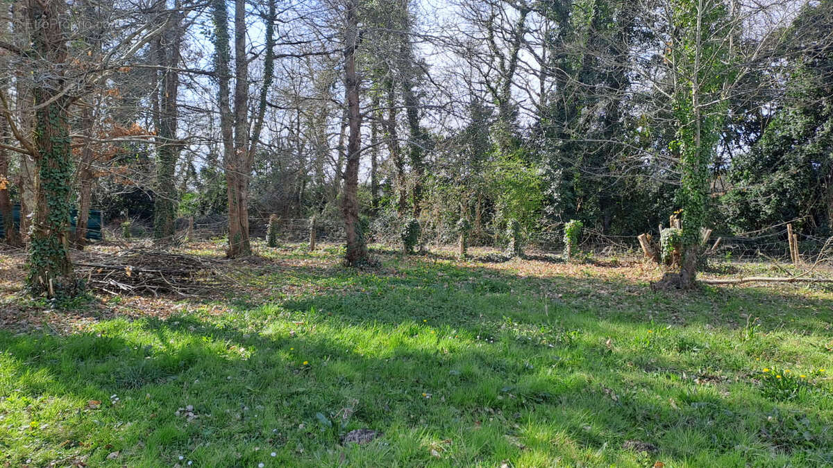 Terrain à SAINT-PALAIS-SUR-MER