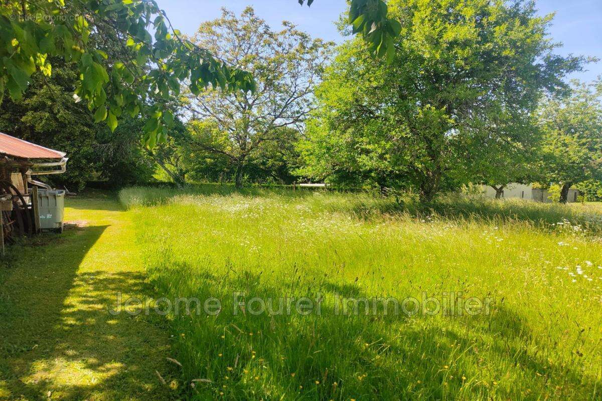 vente terrain - photo 7