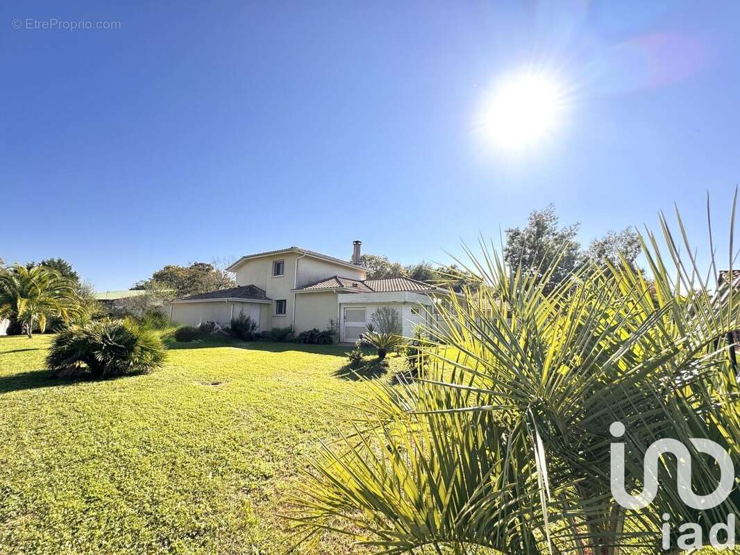 Photo 5 - Maison à SAINT-ANDRE-DE-SEIGNANX