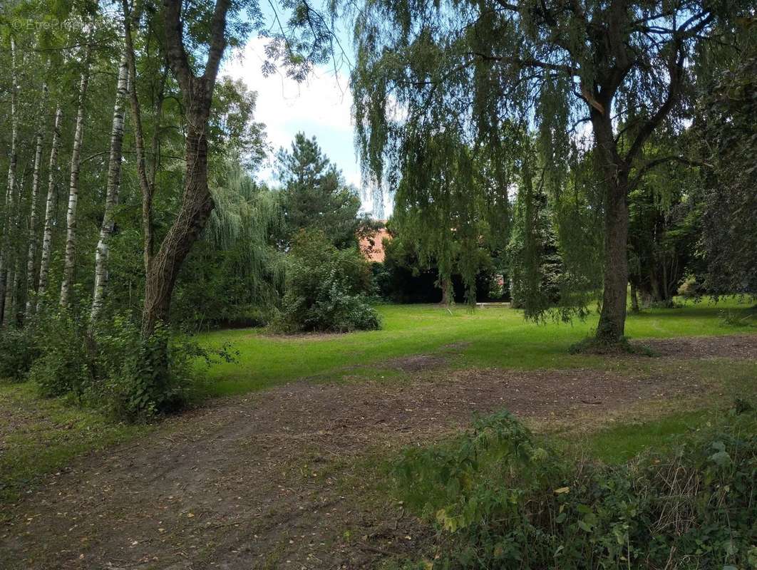 Maison à AVESNES-SUR-HELPE