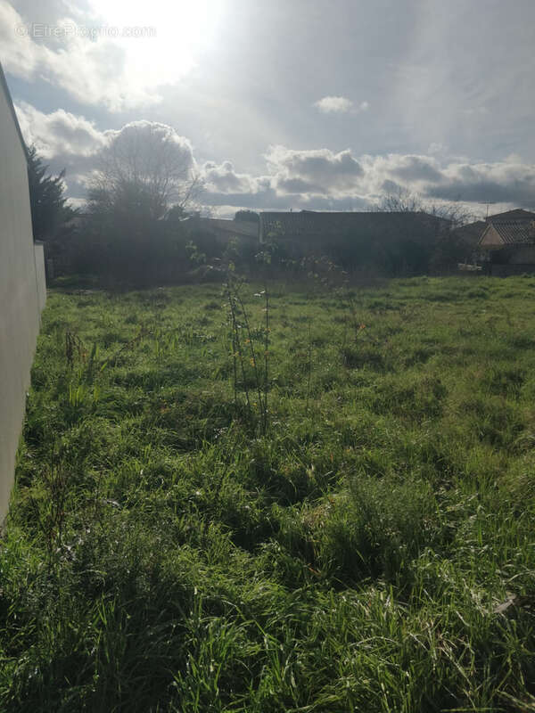Terrain à TOULOUSE
