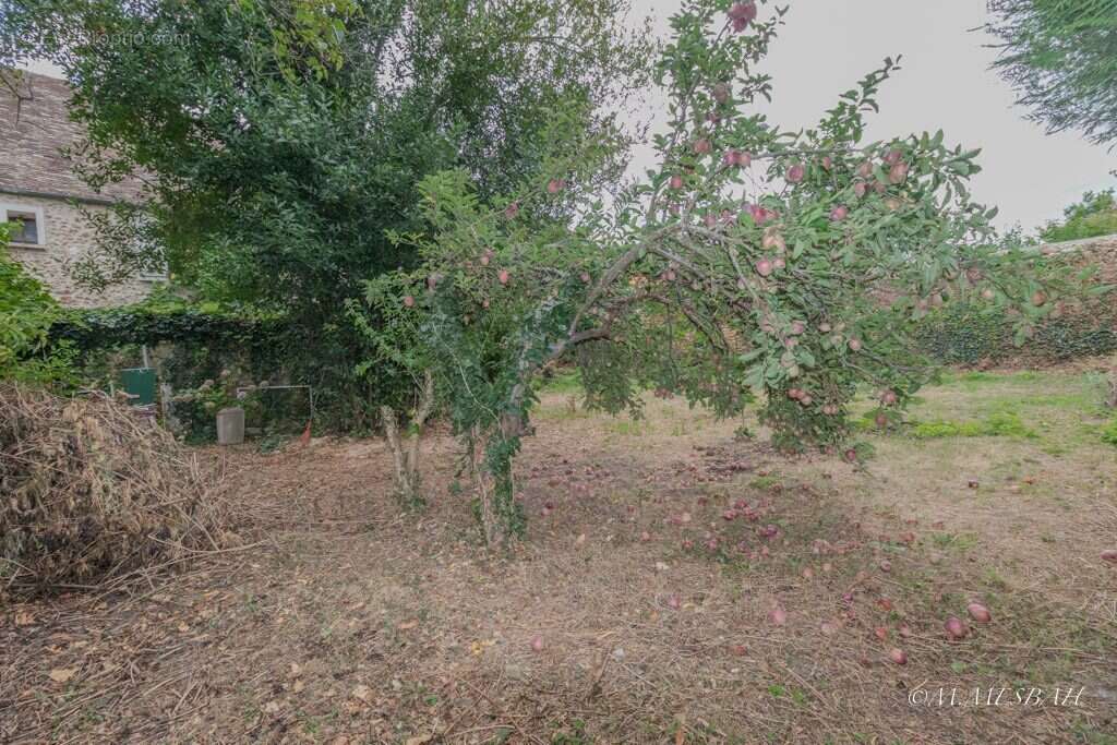 Maison à LEUVILLE-SUR-ORGE