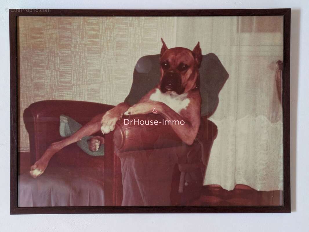 Maison à FRAYSSINET-LE-GELAT