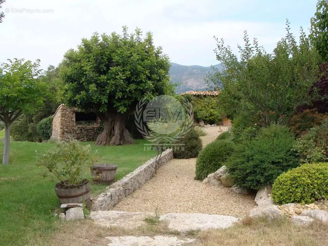 Maison à PLAN-DE-LA-TOUR