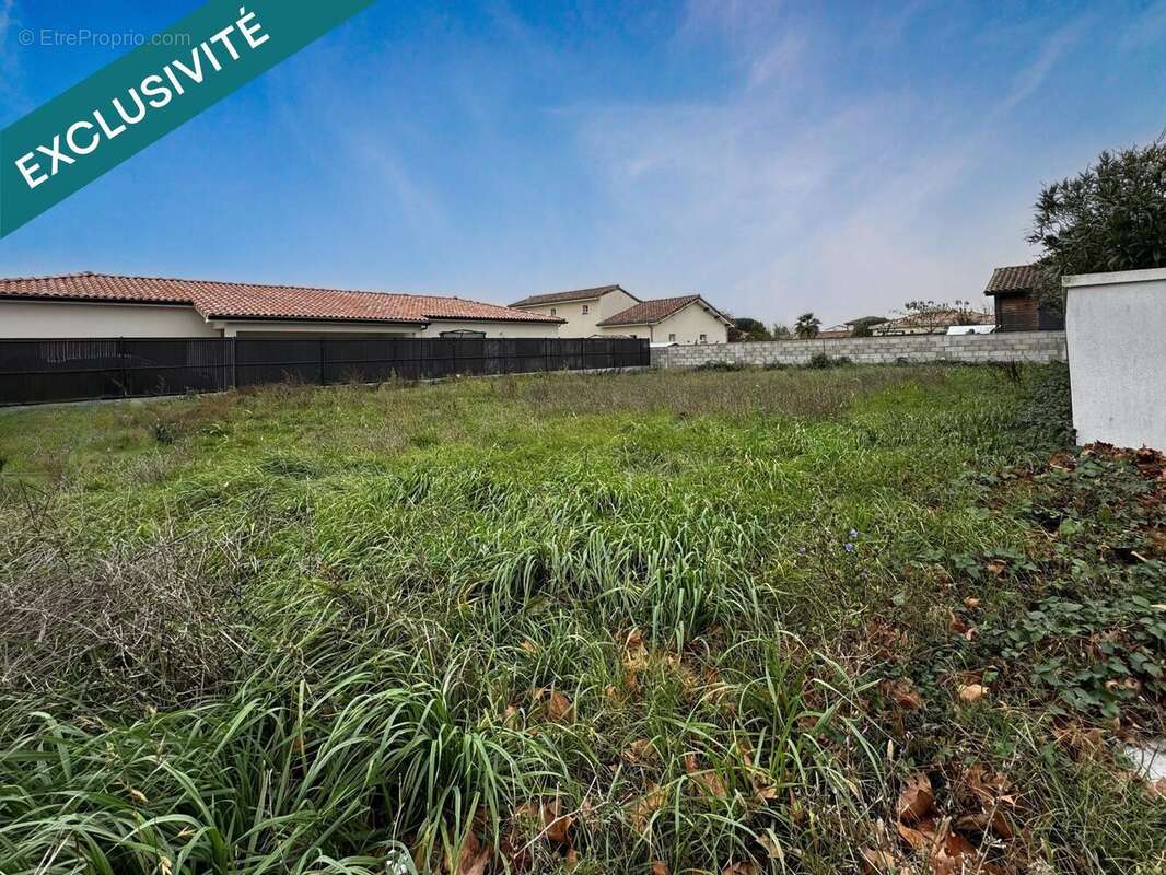 Photo 2 - Terrain à GRENADE