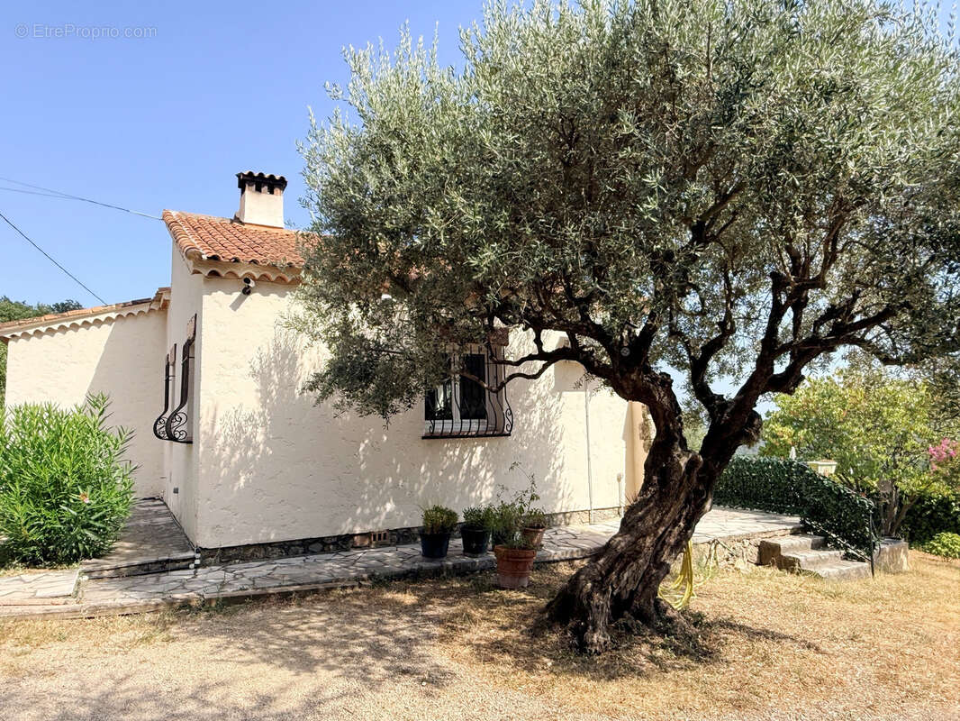 EXCLUSIVITE SEILLANS, Proche village à pied, Villa 3 pièce(s) Garage Terrain 1500m2 Vue Panoramique - photo 13