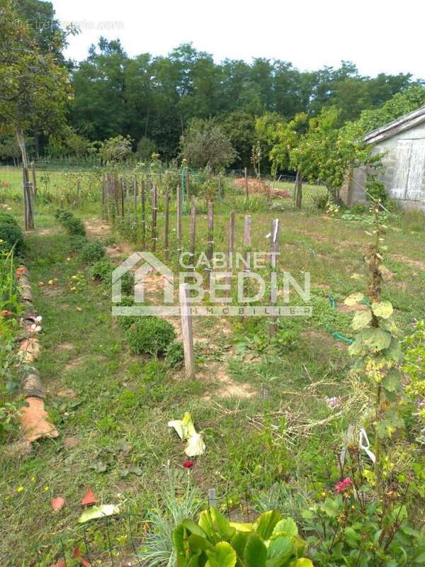 Maison à SAINT-TROJAN