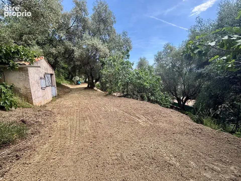 Terrain 2 385 m² à vendre à Contes (06390) - photo 2