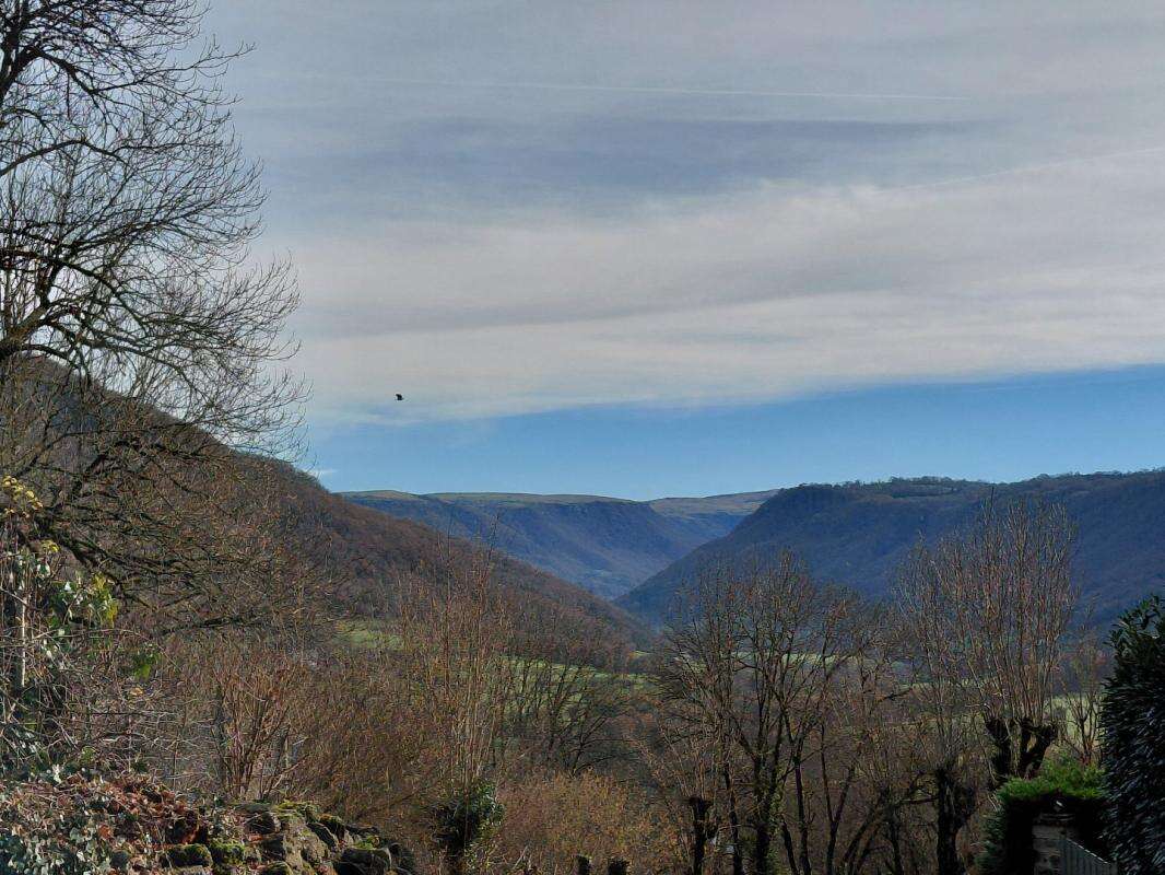 Maison à ANGLARDS-DE-SALERS