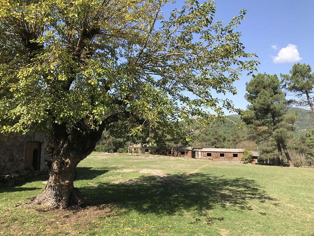 En plein coeur des cévennes authentique mas du XIIème siècle sur 7 hectares de terre - photo 5