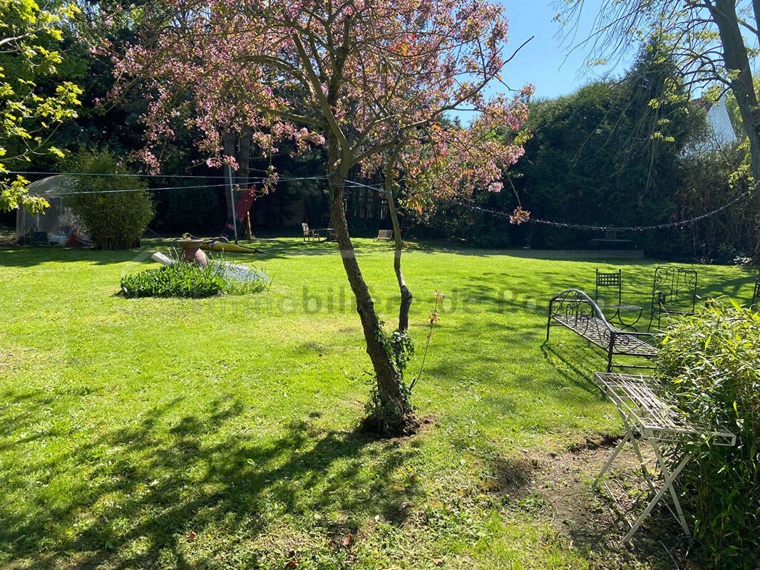 Individuelle mt d'halluin 211m² - photo 18
