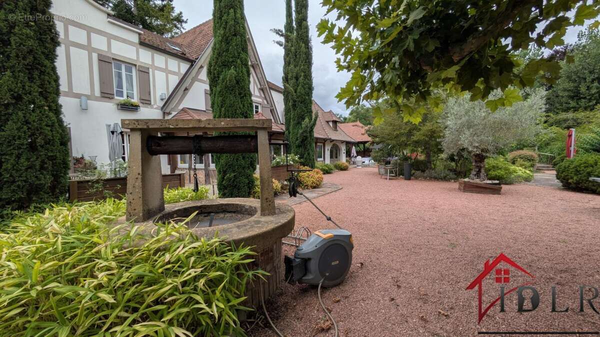 Commerce à VERDUN-SUR-LE-DOUBS