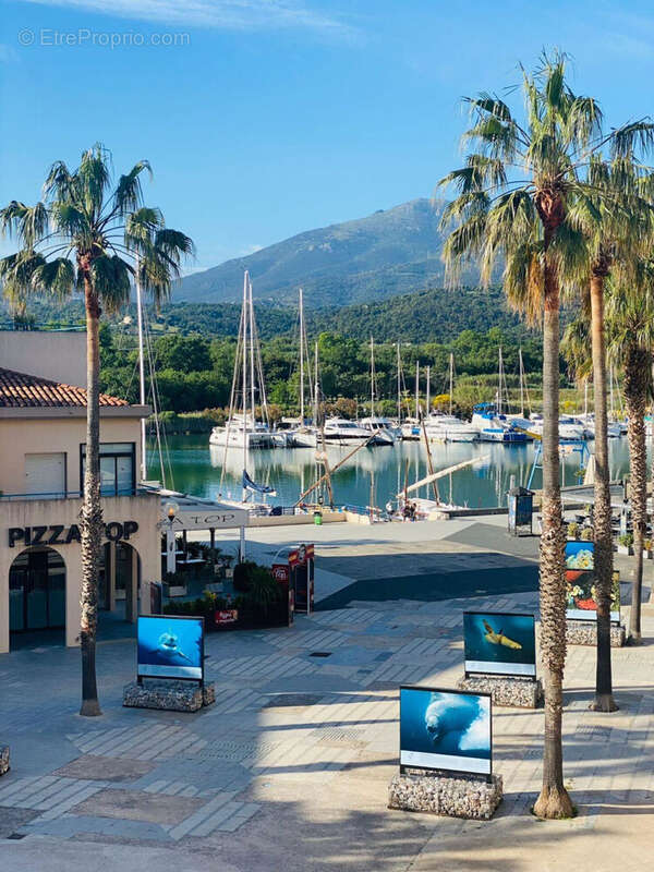 Photo 2 - Appartement à ARGELES-SUR-MER