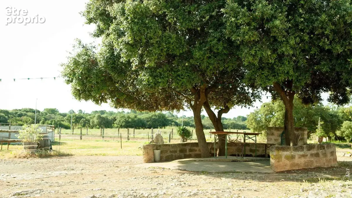 Domaine équestre en activité sur 16h   Un ensemble rare aux portes de MONTPELLIER - photo 4