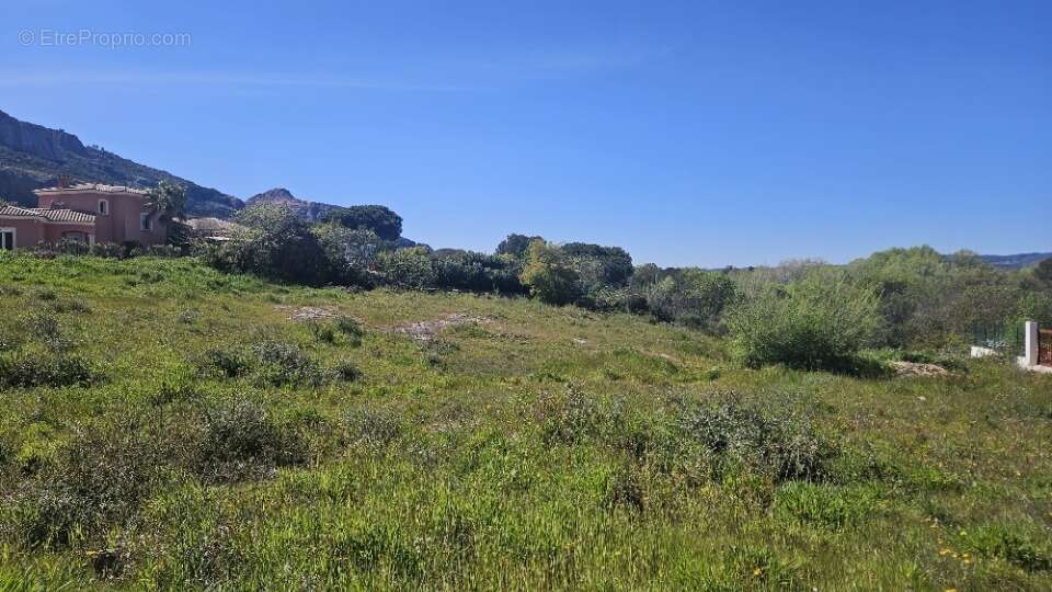 Terrain à ROQUEBRUNE-SUR-ARGENS