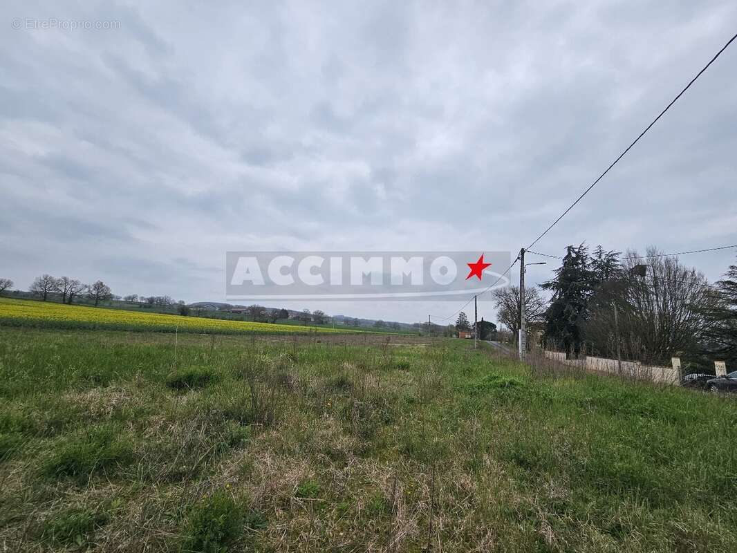 Terrain à MONTDRAGON