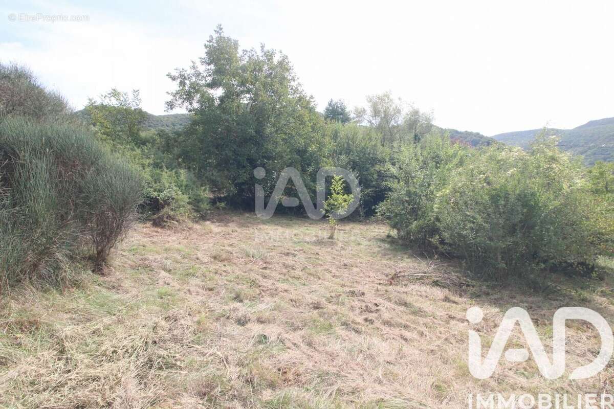 Photo 7 - Terrain à SAINT-AFFRIQUE