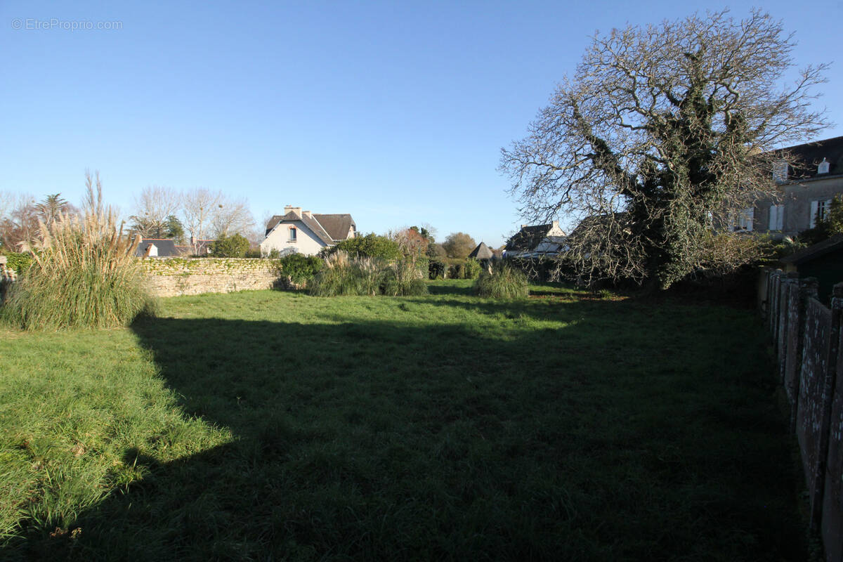 Terrain à ILE-D'ARZ