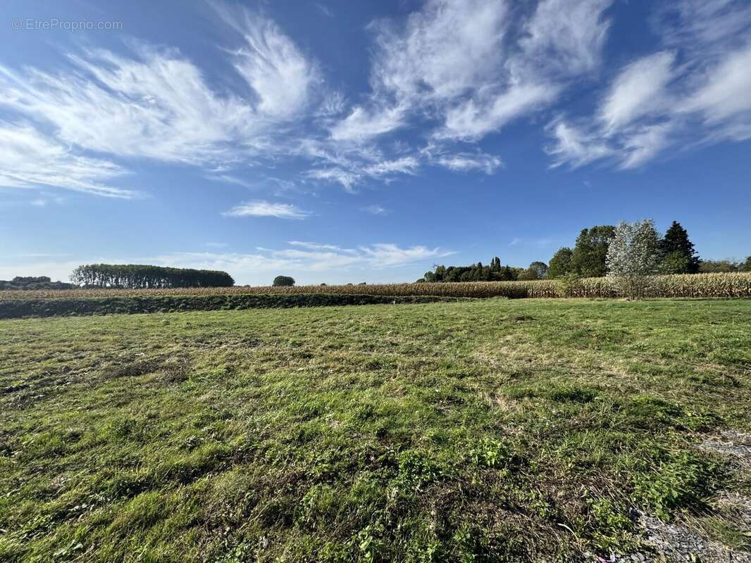 Terrain à ENNEVELIN