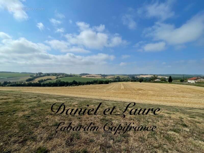 Terrain à vendre de 166 764,00 m² à Saint Avit - photo 3