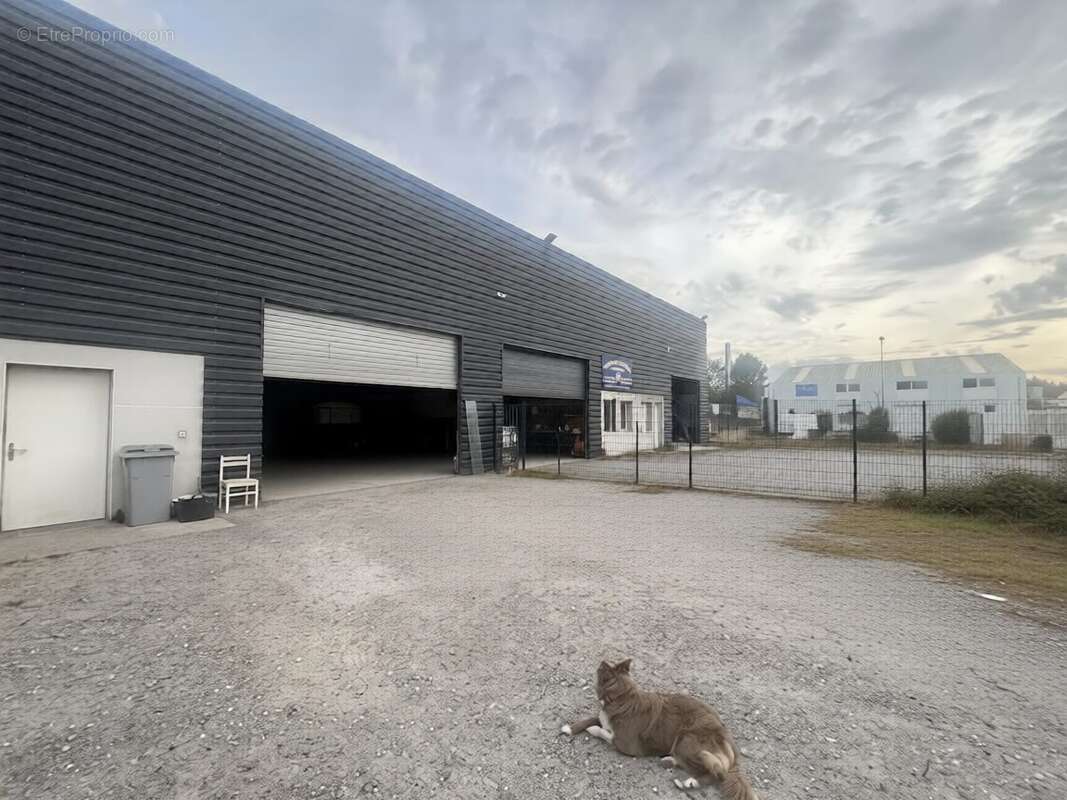 Commerce à BISCARROSSE