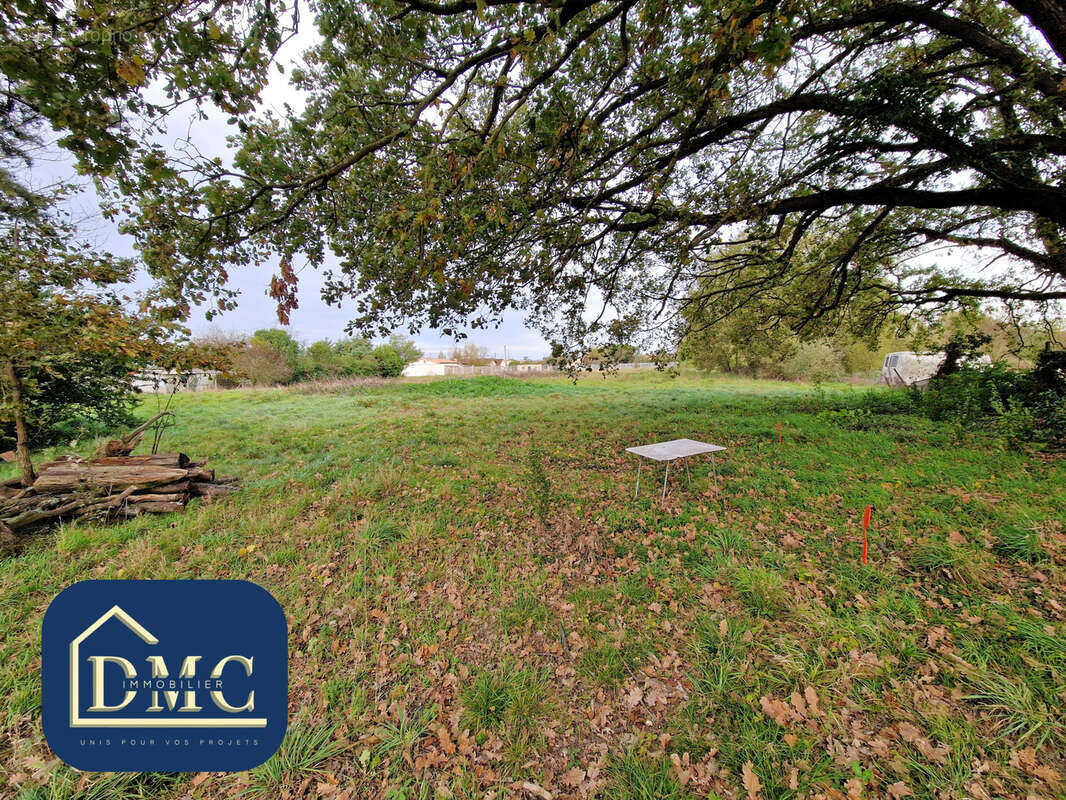 Terrain à CINTEGABELLE