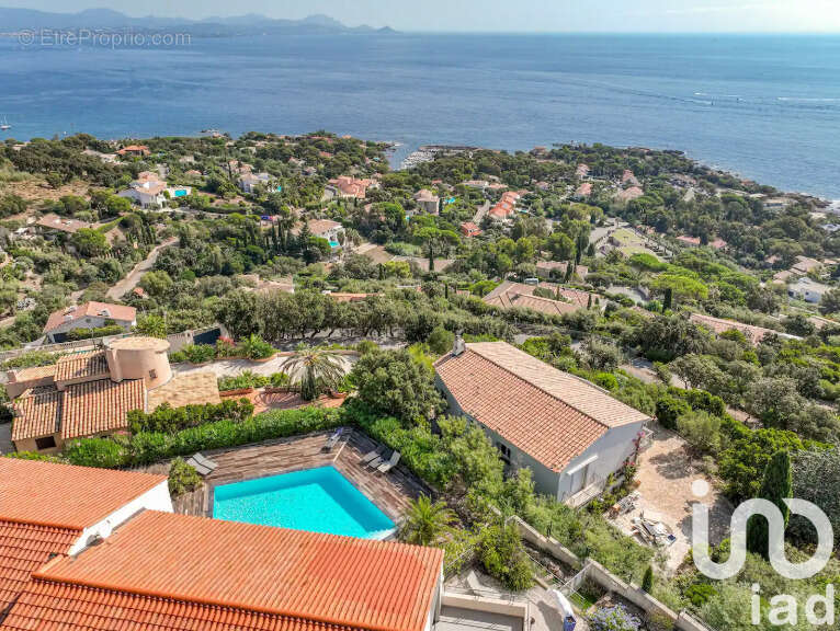 Photo 2 - Appartement à ROQUEBRUNE-SUR-ARGENS