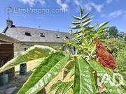 Photo 1 - Maison à LOCTUDY
