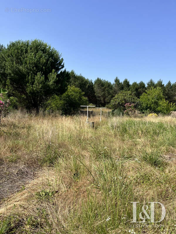 Maison à SAUGNAC-ET-CAMBRAN