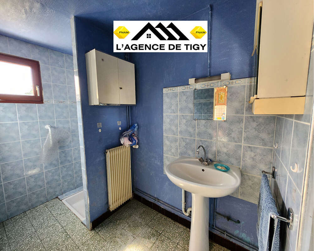 Maison à vendre (proche sully sur loire) 5 pièce(s) 102 m2 - photo 3