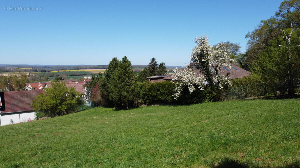 Terrain à VIEILLEY