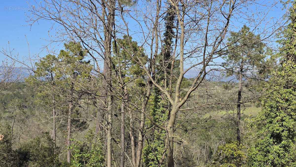 Terrain à SAINT-PAUL-EN-FORET