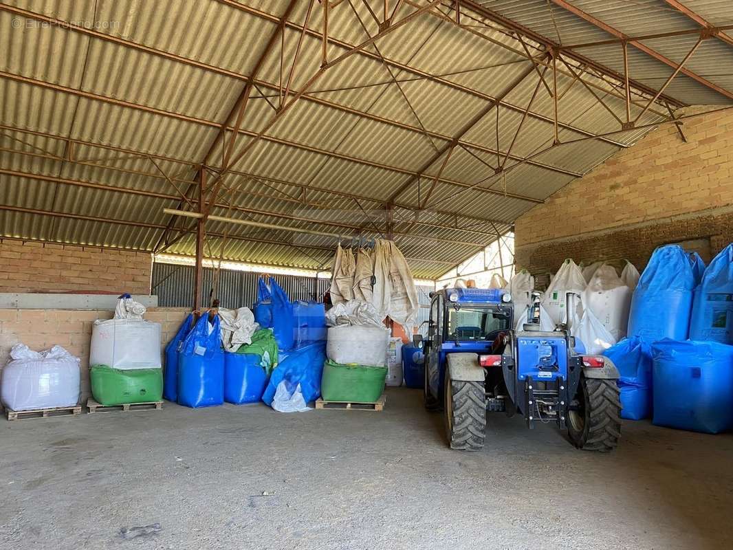 Terrain à BEAUMONT-DE-LOMAGNE