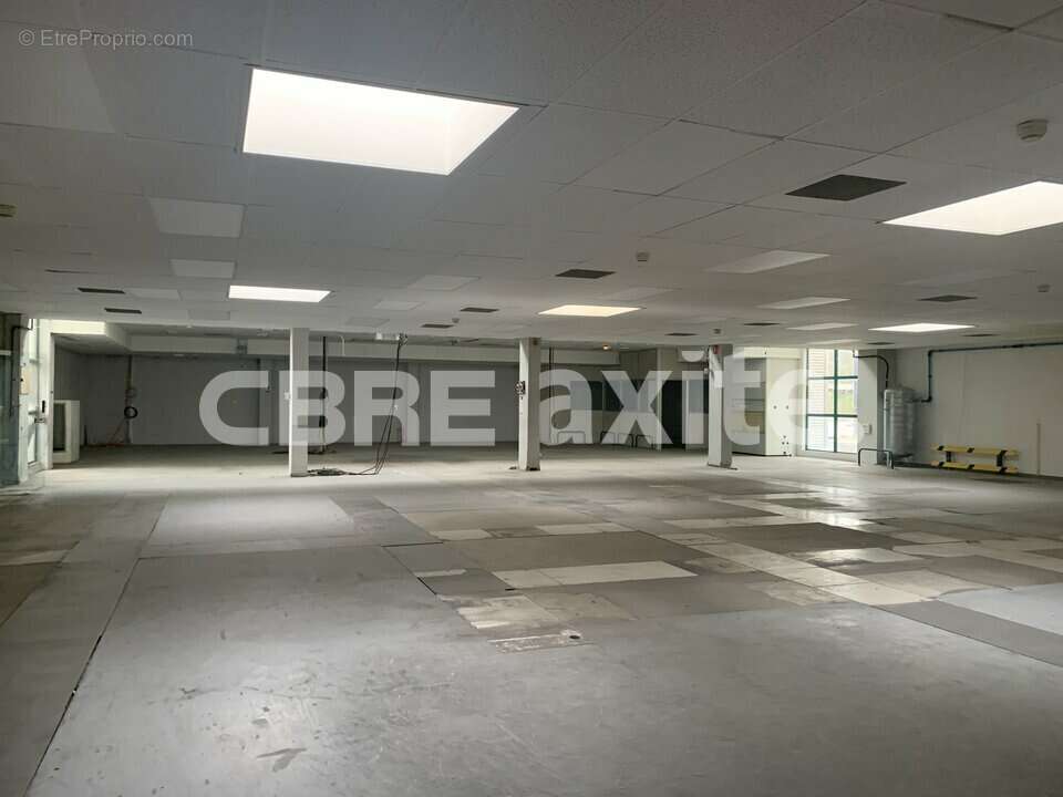 10565 m² à Marigny-Saint-Marcel  - photo 5