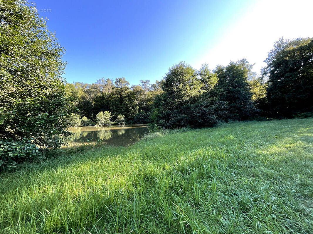 Terrain à POLAINCOURT-ET-CLAIREFONTAINE