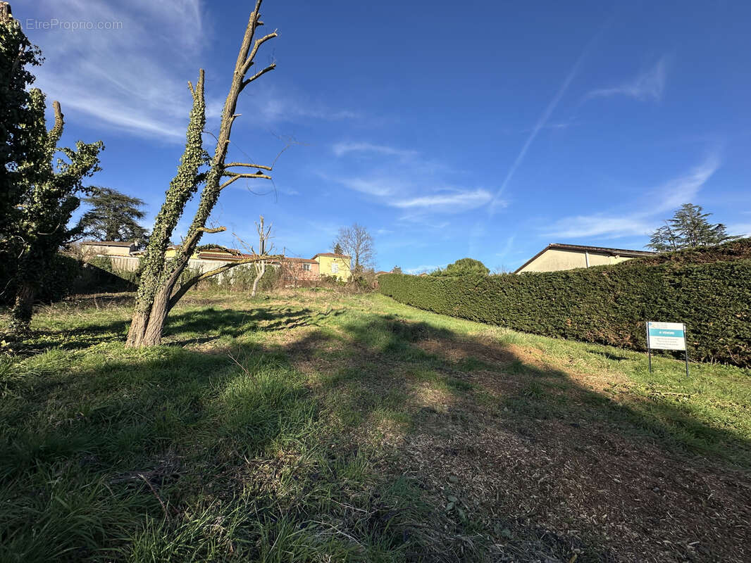 Terrain à THURINS