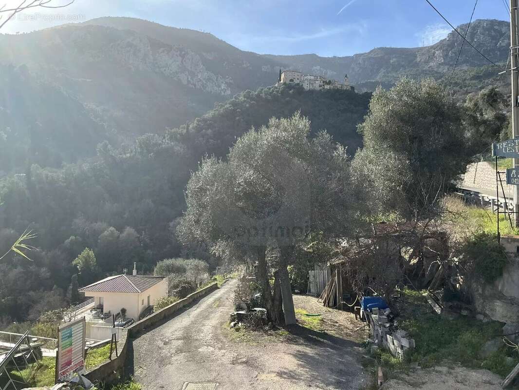 Terrain à GORBIO