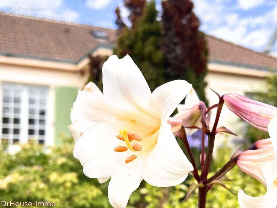Maison 227 m² à Saint-Brevin-Les-Pins  - photo 9