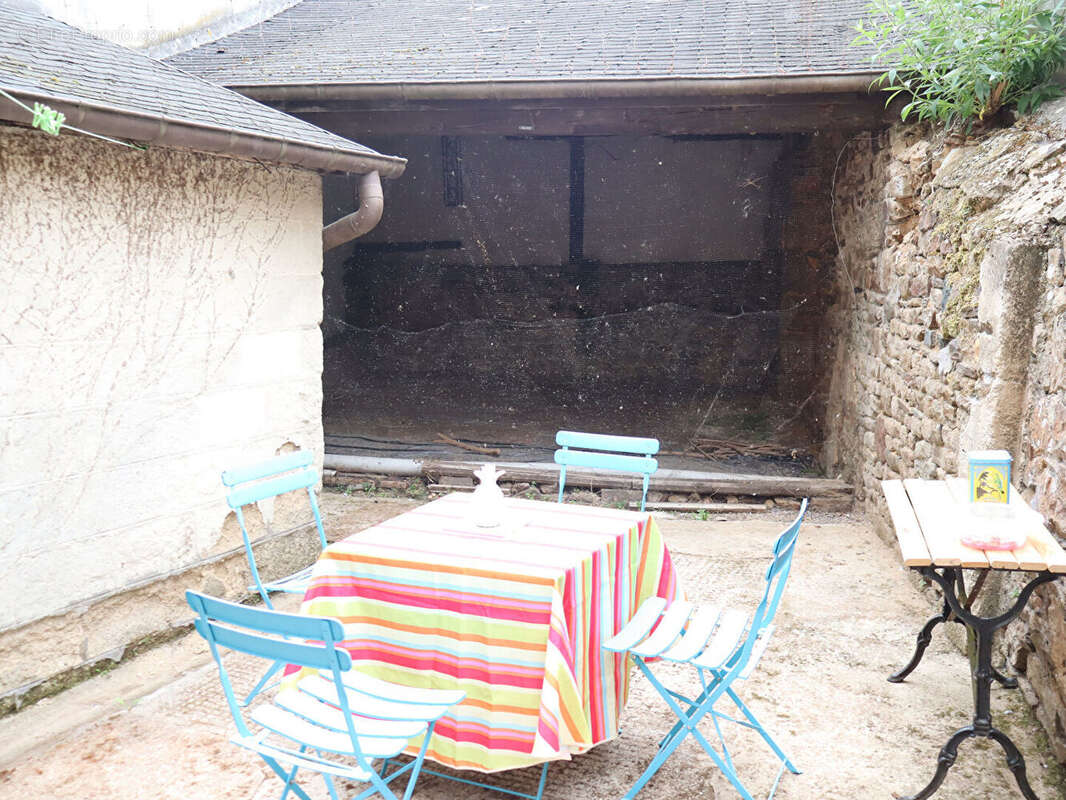Le teilleul - photo 4